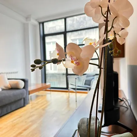 Apartmán Centrico Irmandinos Con Garaje - Homeygalicia Vigo