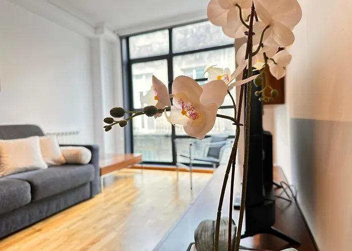 Apartmán Centrico Irmandinos Con Garaje - Homeygalicia Vigo